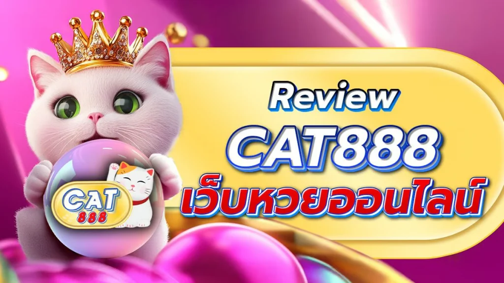 cat888